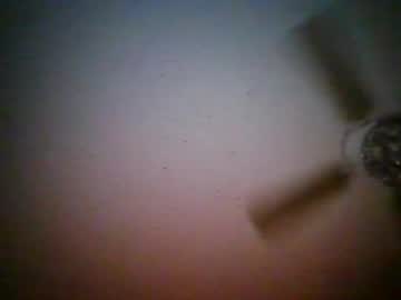 cockfeign